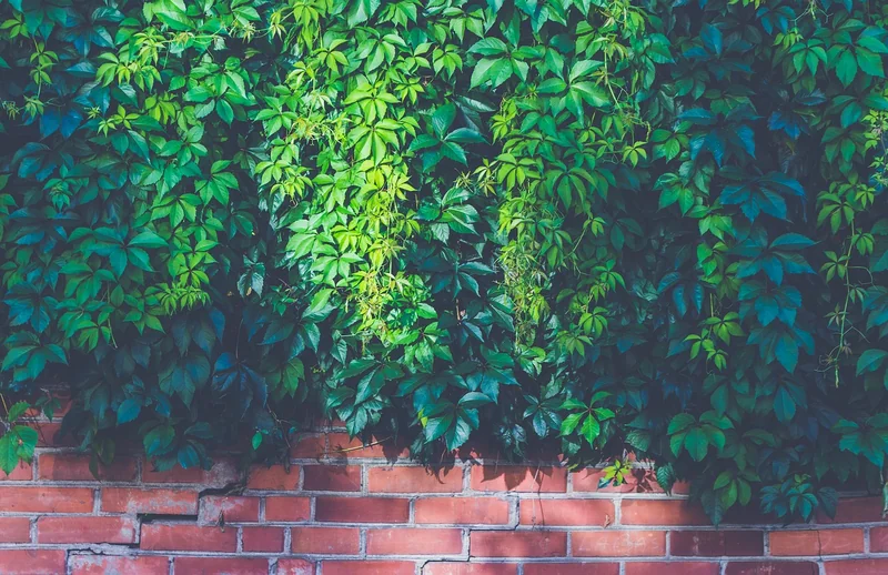 Les briques essentielles d'un business plan de micro-entreprise