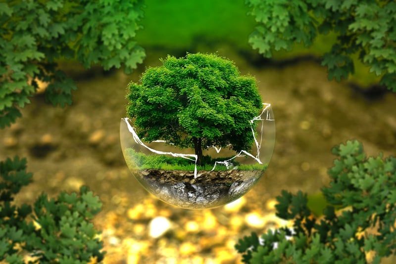 Comment la législation environnementale façonne les entreprises françaises en 2026